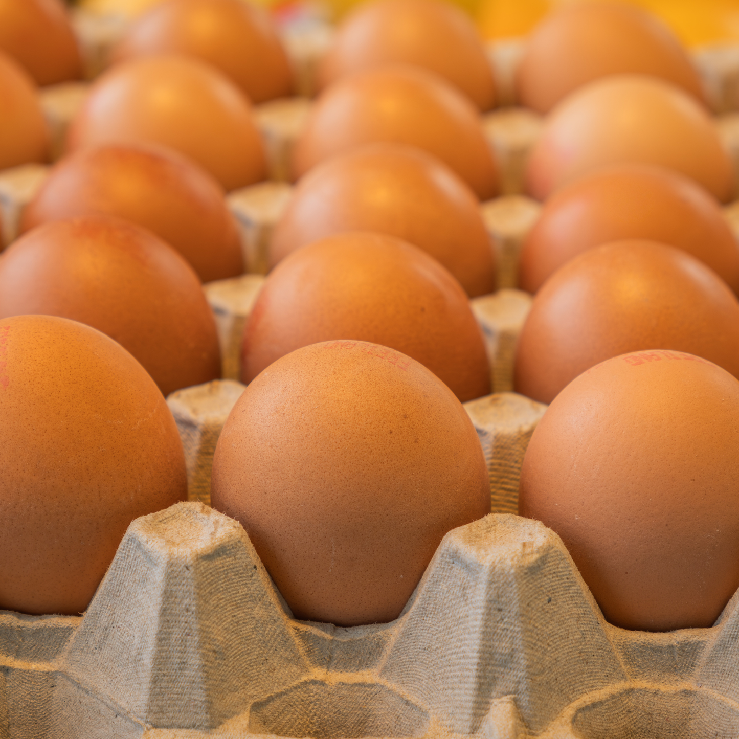 60 Large Eggs