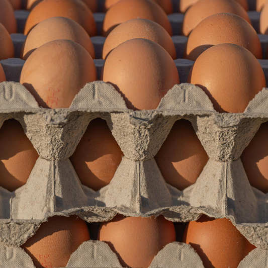 60 Large Eggs - Pay Day
